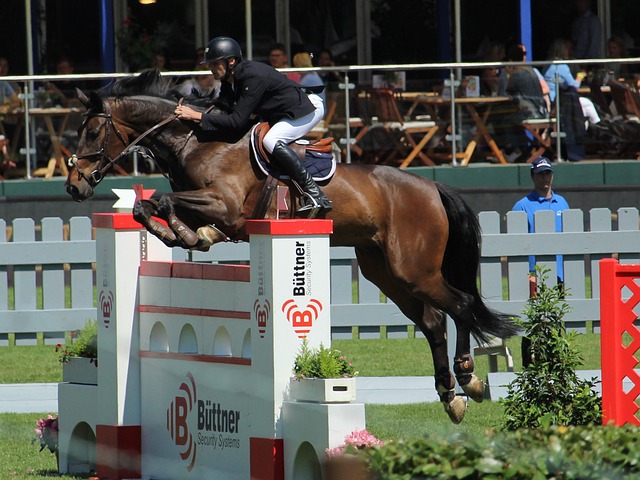 队员刘美君 队员刘美君