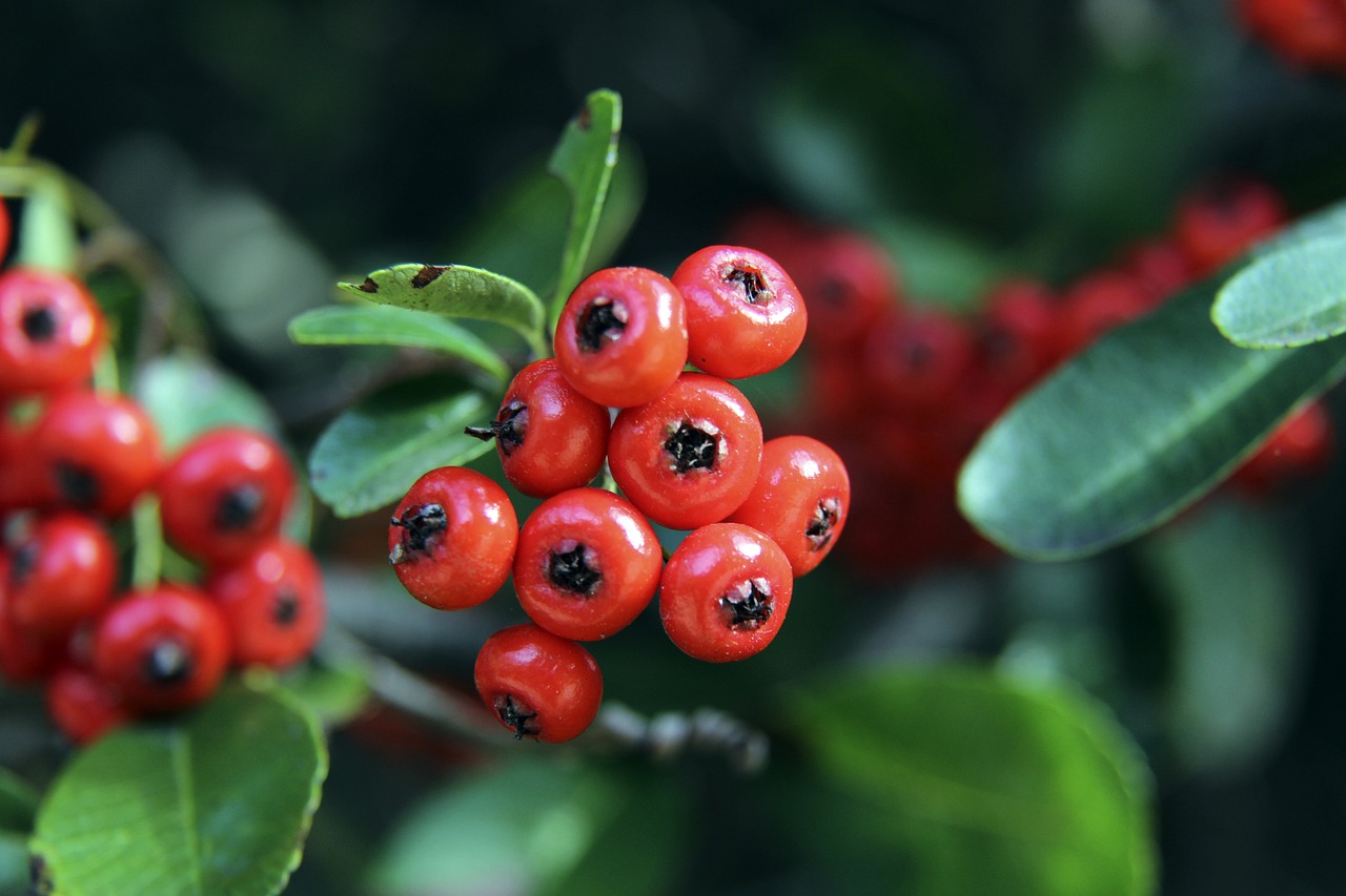 这场胜利向 这场胜利向