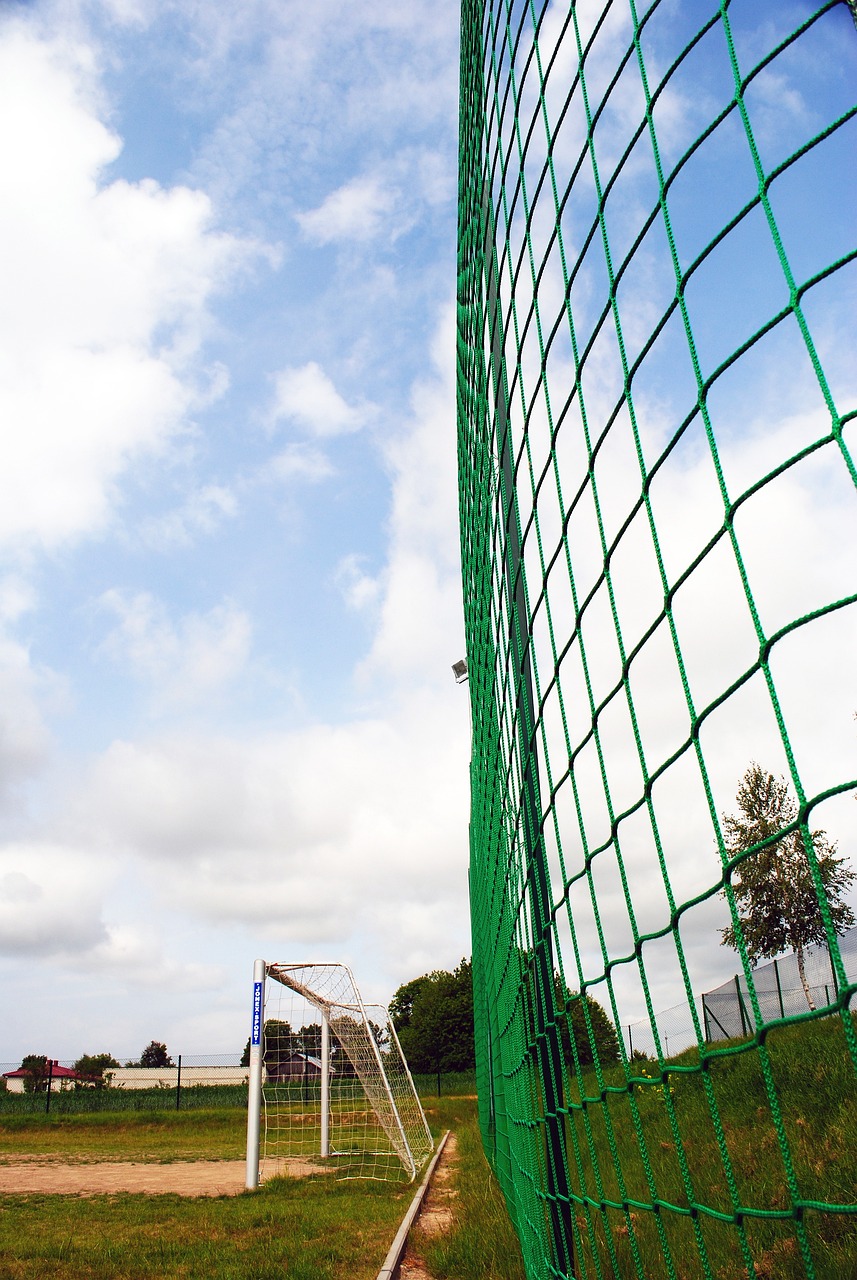 和团队协作 和团队协作