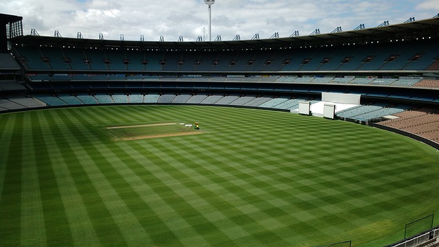 湖人需要在 湖人需要在