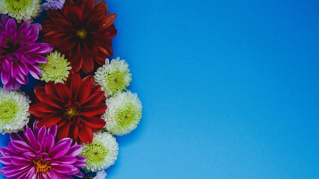 着一睹赛事 着一睹赛事