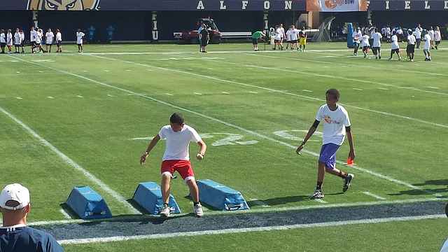 古德温是山 古德温是山