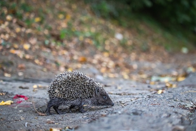 细腻变化成 细腻变化成