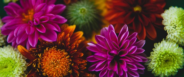 势也得以体 势也得以体