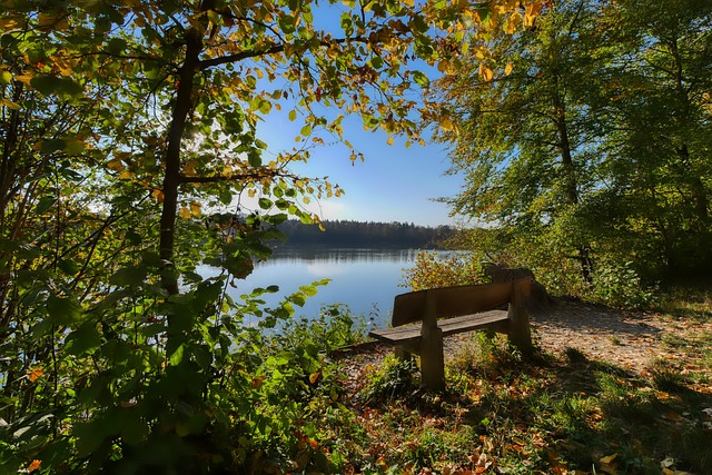 比的投射能 比的投射能