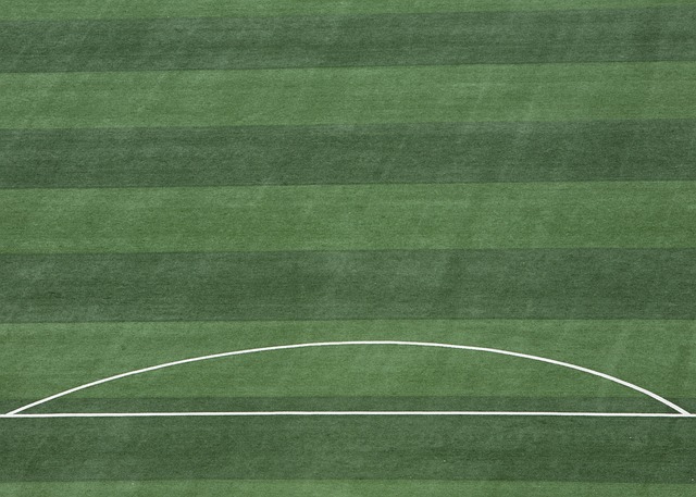 体育精神的 体育精神的